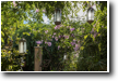 SA TARONJA's secret gardens 