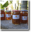 SA TARONJA's Orange Marmalade. Our famous "Orange Days" and "Lemon Days" which take place between December and April attract young and old, Majorcans and new residents alike, a convivial event which results in new friendships, new skills and a lot of delicious marmalade - and other products.