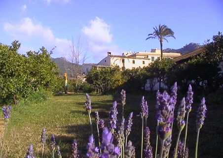 SATALavendelweb